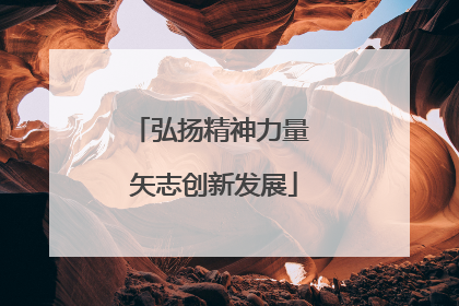 弘扬精神力量 矢志创新发展