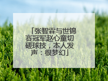 张智霖与世锦赛冠军赵心童切磋球技，本人发声：很梦幻