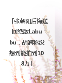 张朝阳后悔送回绝版Labubu，胡润称没想到能拍到108万