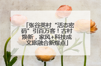 张谷英村“活态密码”引百万客！古村焕新，家风+科技成文旅融合新爆点