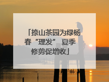 捺山茶园为绿杨春“理发” 夏季修剪促增收