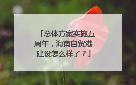 总体方案实施五周年，海南自贸港建设怎么样了？