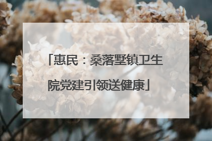 惠民：桑落墅镇卫生院党建引领送健康