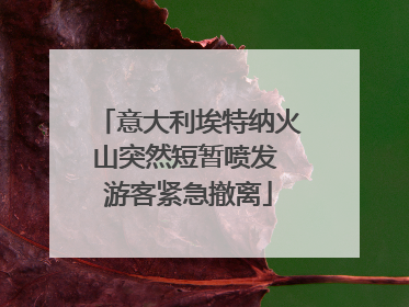意大利埃特纳火山突然短暂喷发 游客紧急撤离