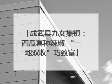 成武县九女集镇：西瓜套种辣椒 “一地双收”巧致富