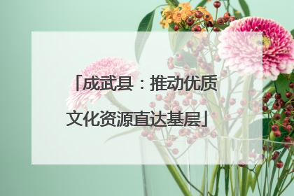 成武县：推动优质文化资源直达基层