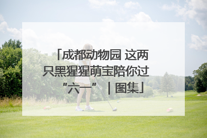 成都动物园 这两只黑猩猩萌宝陪你过“六一”｜图集