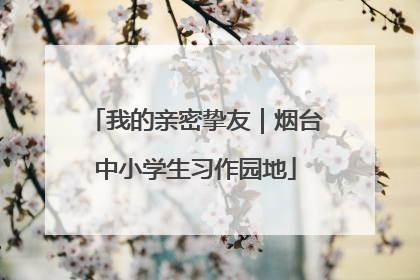 我的亲密挚友｜烟台中小学生习作园地