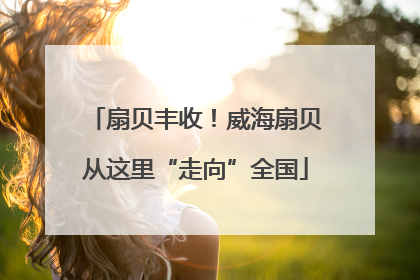 扇贝丰收！威海扇贝从这里“走向”全国