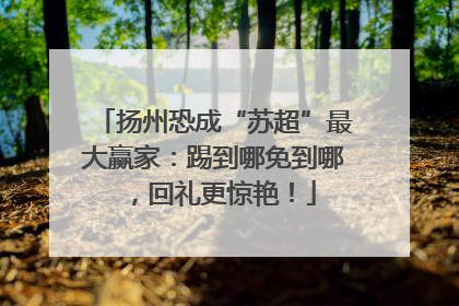 扬州恐成“苏超”最大赢家：踢到哪免到哪，回礼更惊艳！