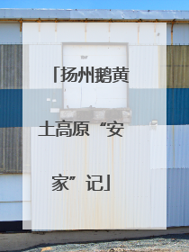 扬州鹅黄土高原“安家”记