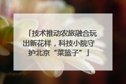 技术推动农旅融合玩出新花样，科技小院守护北京“菜篮子”