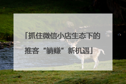 抓住微信小店生态下的推客“躺赚”新机遇