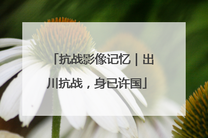 抗战影像记忆｜出川抗战，身已许国