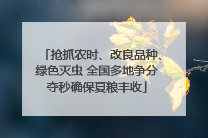 抢抓农时、改良品种、绿色灭虫 全国多地争分夺秒确保夏粮丰收