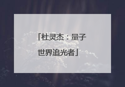 杜灵杰：量子世界追光者