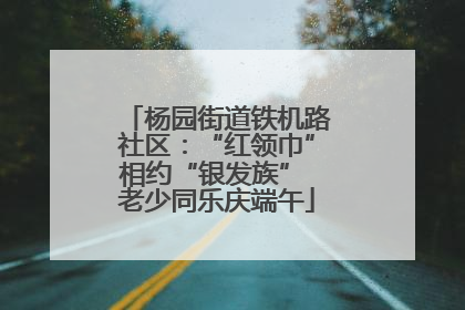 杨园街道铁机路社区：“红领巾”相约“银发族” 老少同乐庆端午