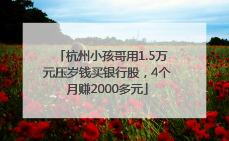 杭州小孩哥用1.5万元压岁钱买银行股，4个月赚2000多元