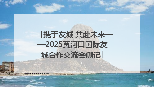 携手友城 共赴未来——2025黄河口国际友城合作交流会侧记