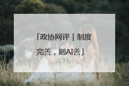 政协网评｜制度完善，则AI善