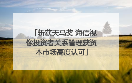 斩获天马奖 海信视像投资者关系管理获资本市场高度认可
