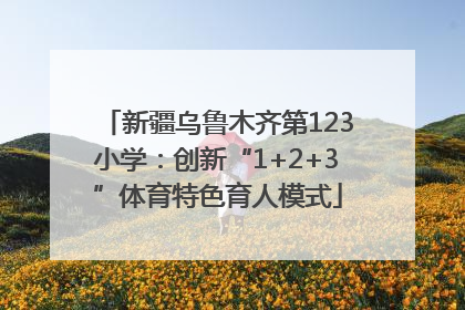 新疆乌鲁木齐第123小学：创新“1+2+3”体育特色育人模式
