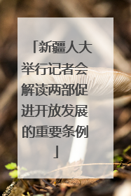 新疆人大举行记者会解读两部促进开放发展的重要条例