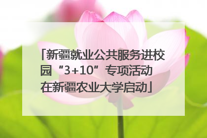 新疆就业公共服务进校园“3+10”专项活动在新疆农业大学启动