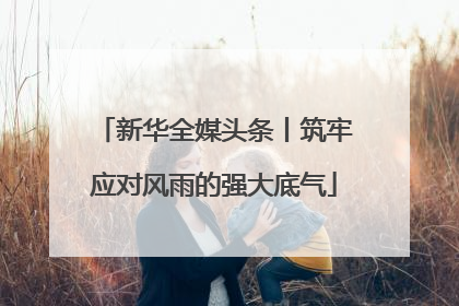 新华全媒头条丨筑牢应对风雨的强大底气