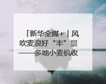 新华全媒+｜风吹麦浪好“丰”景——多地小麦机收一线见闻