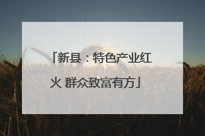新县：特色产业红火 群众致富有方