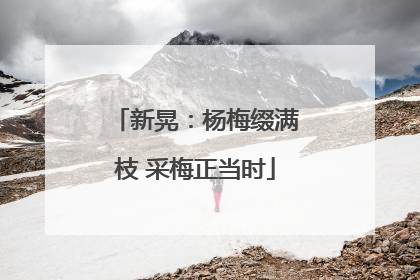 新晃：杨梅缀满枝 采梅正当时