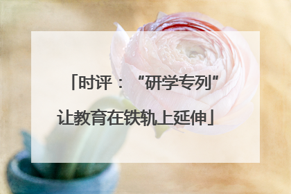 时评：“研学专列”让教育在铁轨上延伸