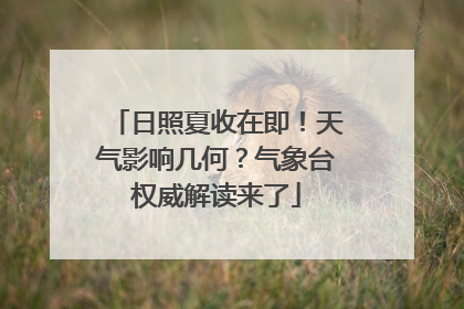 日照夏收在即！天气影响几何？气象台权威解读来了