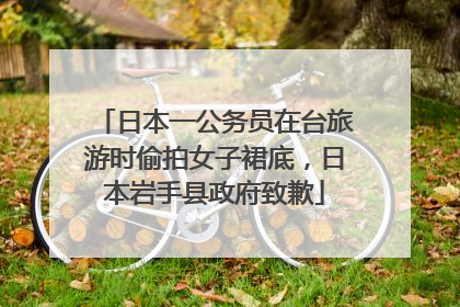 日本一公务员在台旅游时偷拍女子裙底，日本岩手县政府致歉