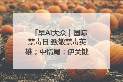早AI大众｜国际禁毒日 致敬禁毒英雄；中情局：伊关键核设施被摧毁