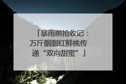 暴雨前抢收记：万斤胭脂红鲜桃传递“双向甜蜜”