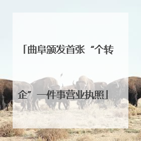 曲阜颁发首张“个转企”一件事营业执照