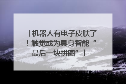 机器人有电子皮肤了！触觉或为具身智能“最后一块拼图”
