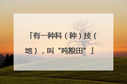 有一种科（种）技（地），叫“吨粮田”