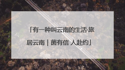 有一种叫云南的生活·旅居云南｜菌有信 人赴约