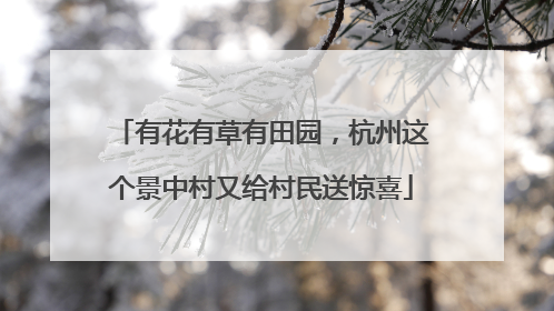 有花有草有田园，杭州这个景中村又给村民送惊喜