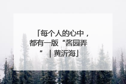 每个人的心中，都有一版“酱园弄”｜黄沂海