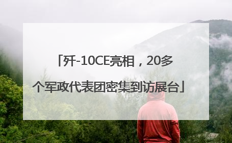 歼-10CE亮相，20多个军政代表团密集到访展台