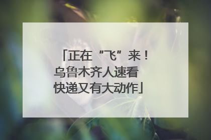 正在“飞”来！乌鲁木齐人速看 快递又有大动作