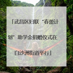 武昌区妇联“春蕾计划”助学金捐赠仪式在白沙洲街道举行