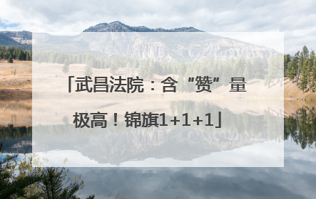 武昌法院：含“赞”量极高！锦旗1+1+1