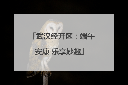 武汉经开区：端午安康 乐享妙趣