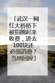 武汉一网红大桥桥下被指圈起来收费，进去100块还必须消费？当地回应