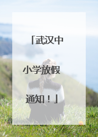 武汉中小学放假通知！